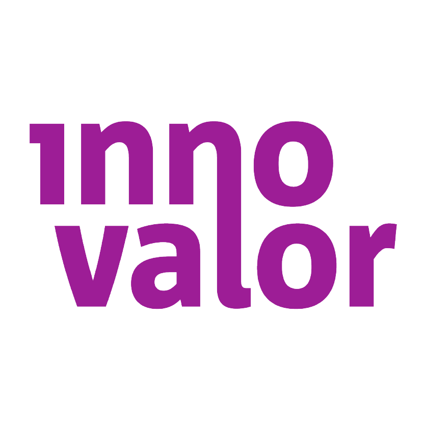 logo InnoValor